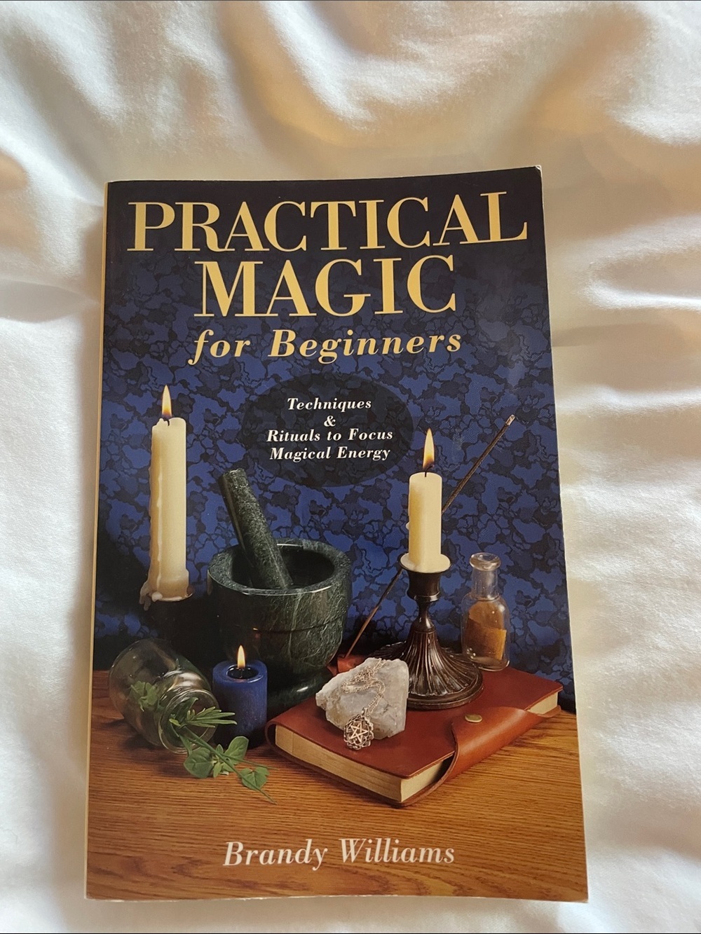 Practical Magic for Beginners Book Brandy Williams Wicca Witchcraft Pagan Spell